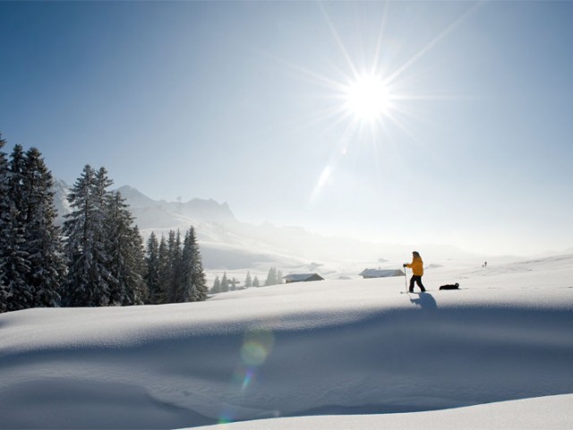 Chalet Prinzis