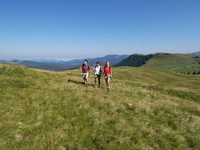 Fellneralm