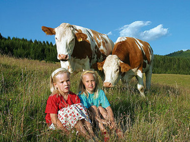 Grassbichlhof