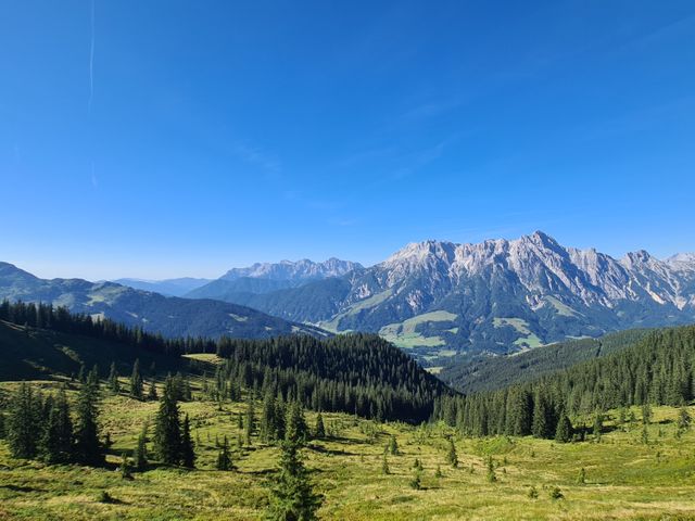 Ellmaualm