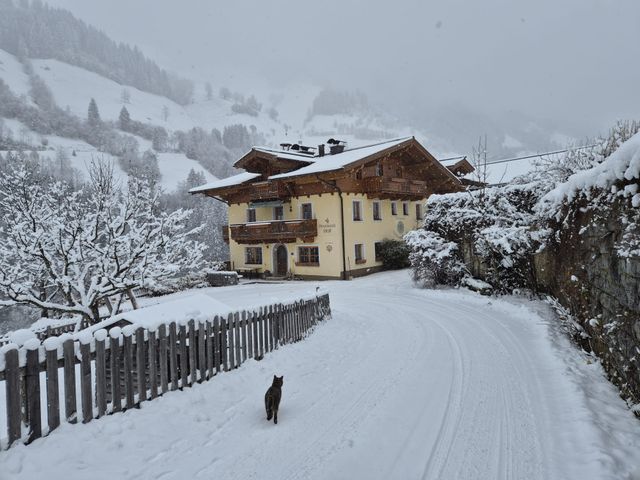 Pfandlinghof