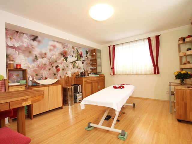 Steiner's Wellness-Appartements 